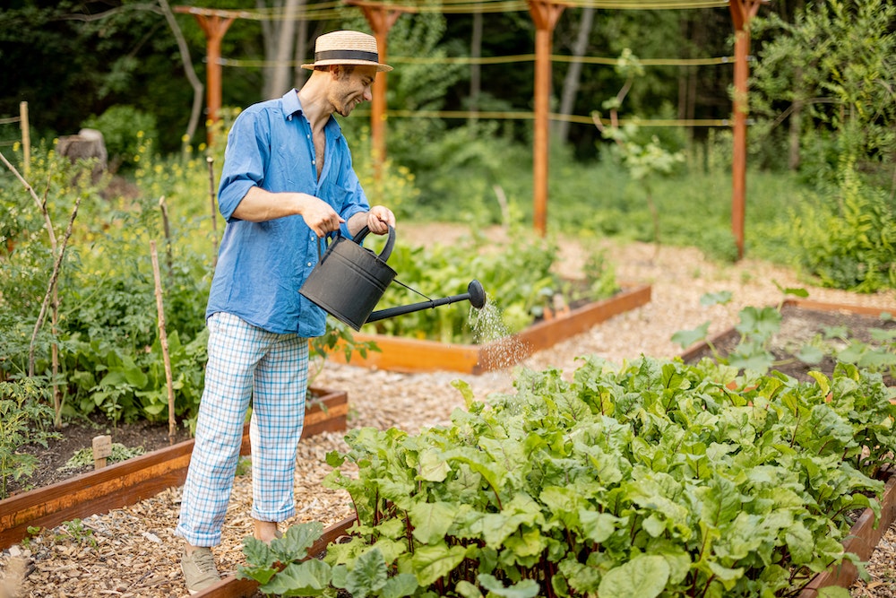 Le jardin, un facteur déterminant dans l'achat d'une maison familiale