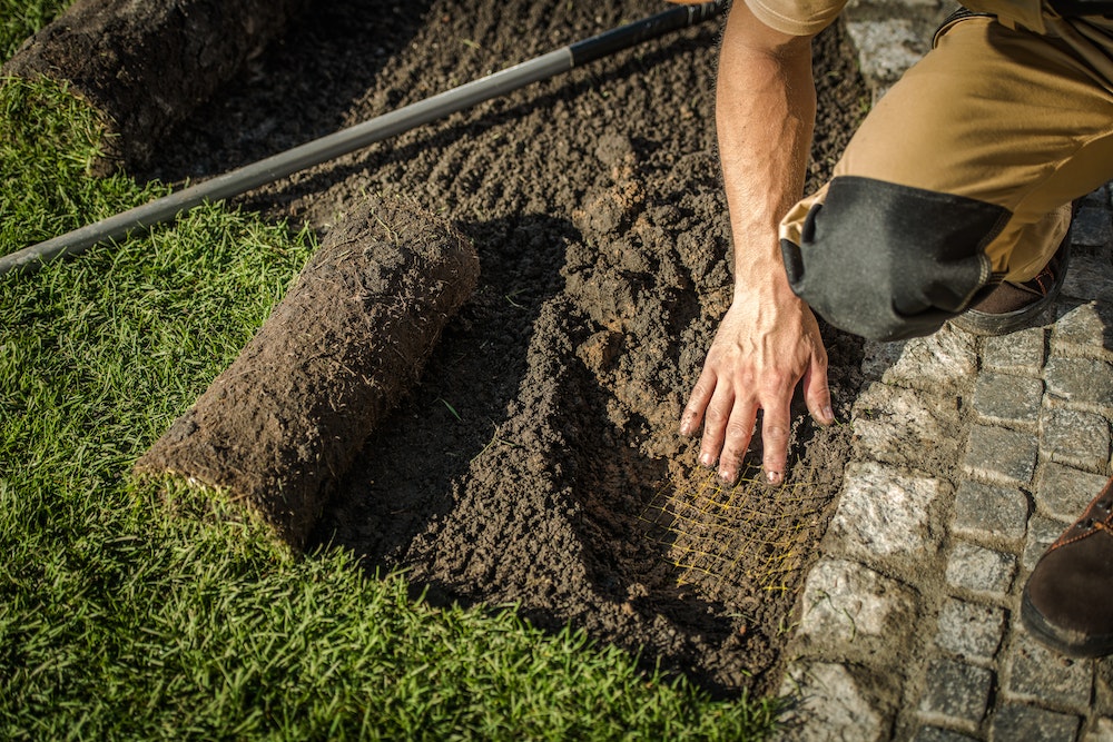Clôture de jardin : quelles sont les solutions pour un espace extérieur sécurisé et esthétique ?