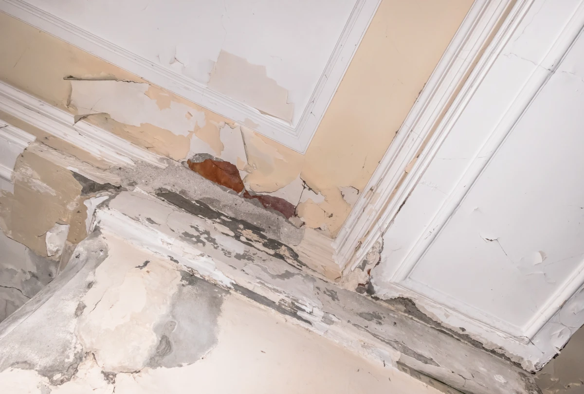 Humidité dans le logement : causes, conséquences et traitements