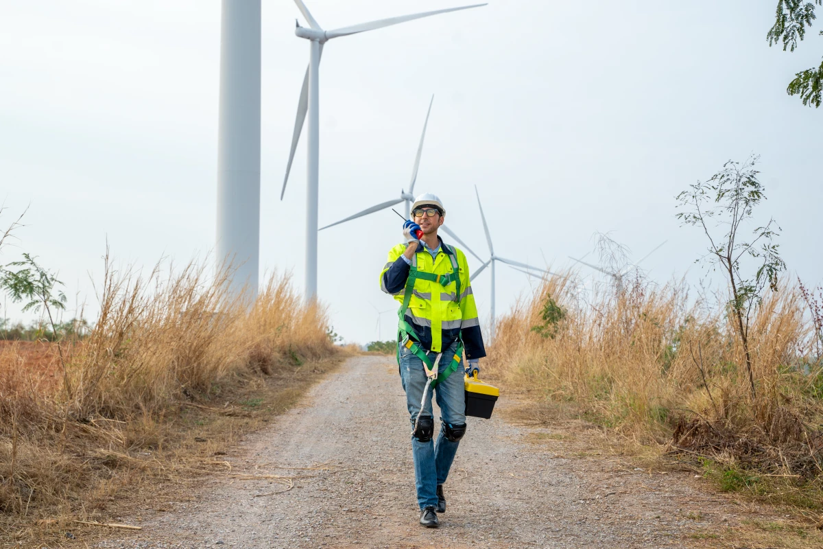 Rénovation énergétique : transformer nos habitats pour un avenir durable