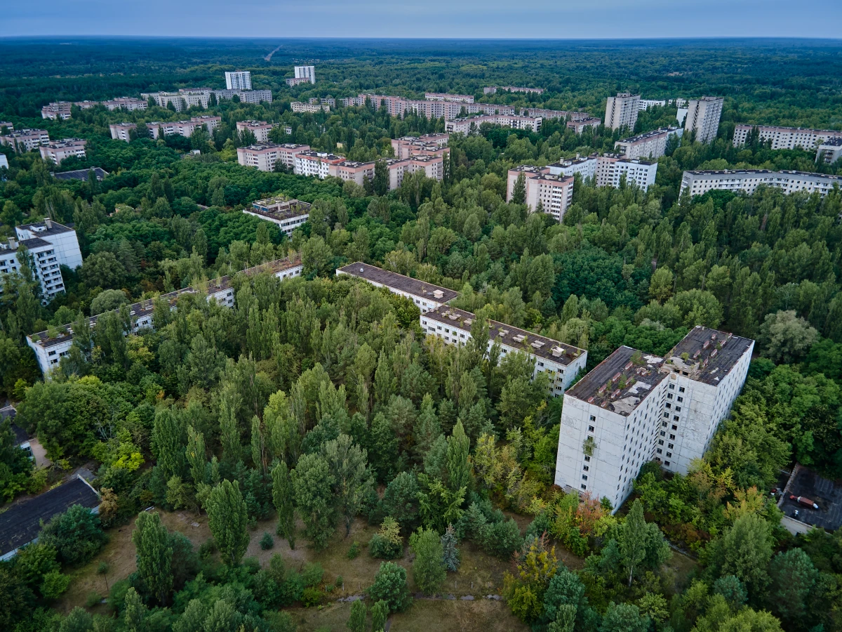 Le PLU : La Clé de Voûte de Votre Investissement Immobilier